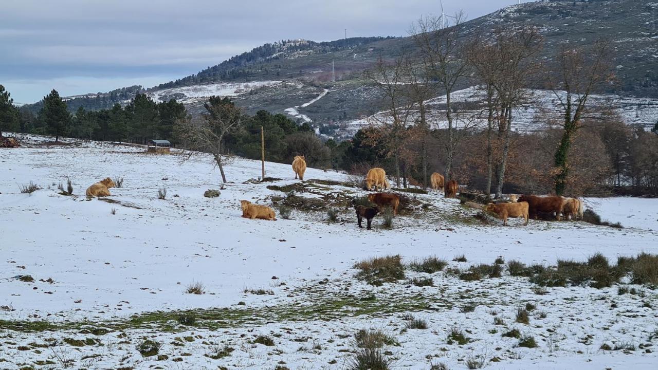Quinta De Santo Estevao Hotel Rural Aguiar da Beira Zewnętrze zdjęcie